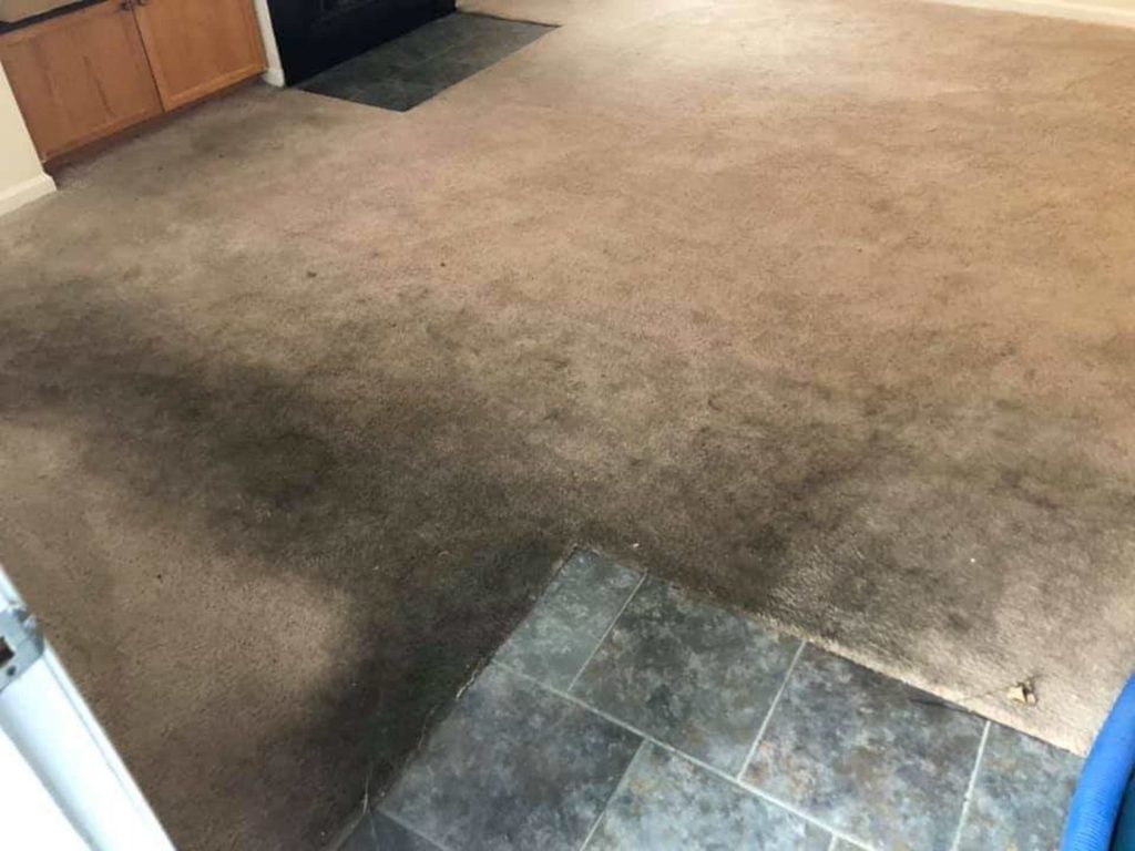 Is It Possible To Clean Super Dirty Carpets?