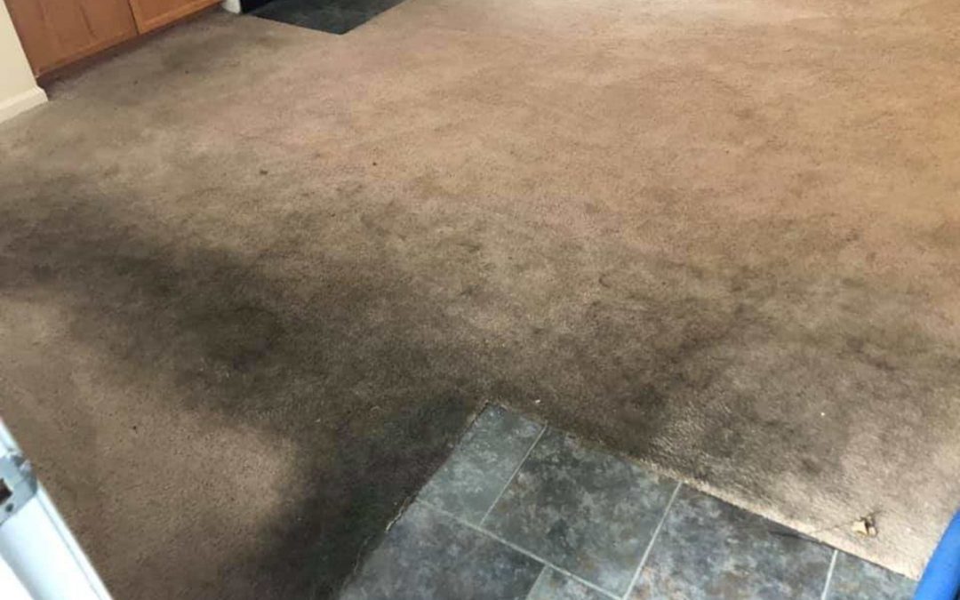 Is It Possible To Clean Super Dirty Carpets?