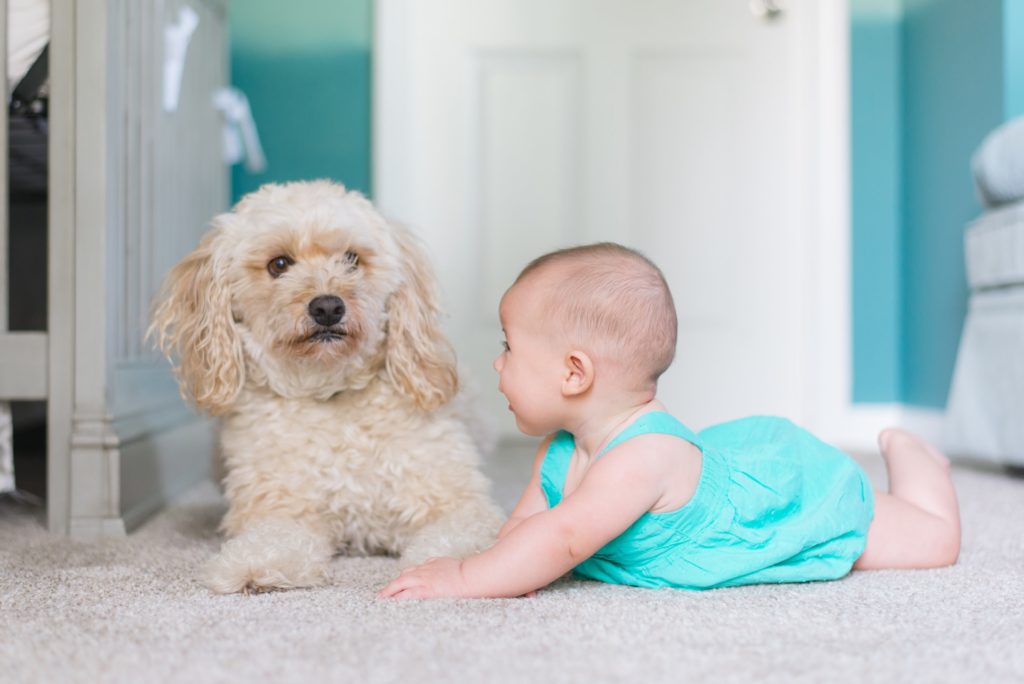 3 Facts About Carpet Cleaning You Probably Don’t Know