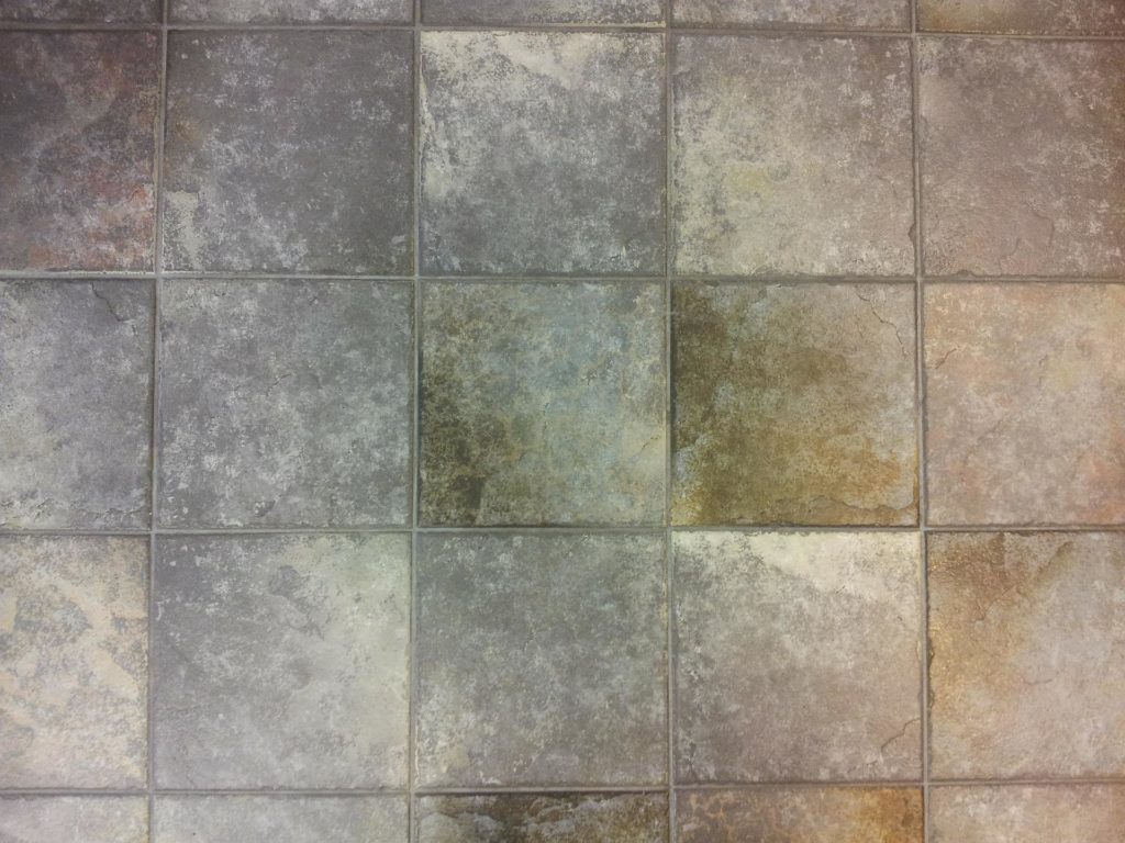 Comparing DIY and Professional Tile and Grout Cleaning