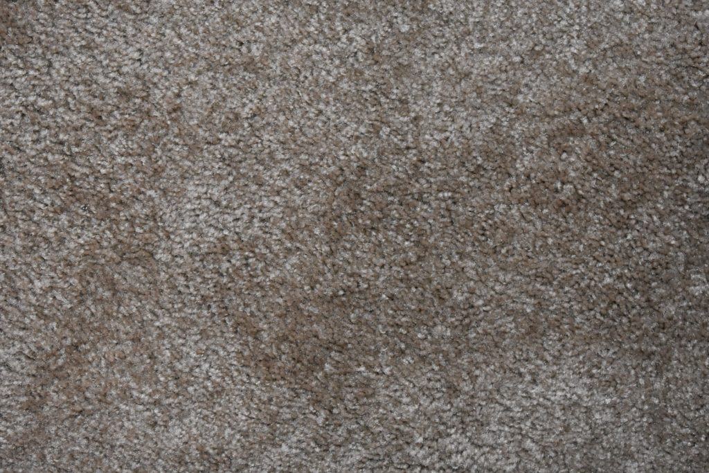 5 Reasons to Stop Avoiding Carpet Cleaning