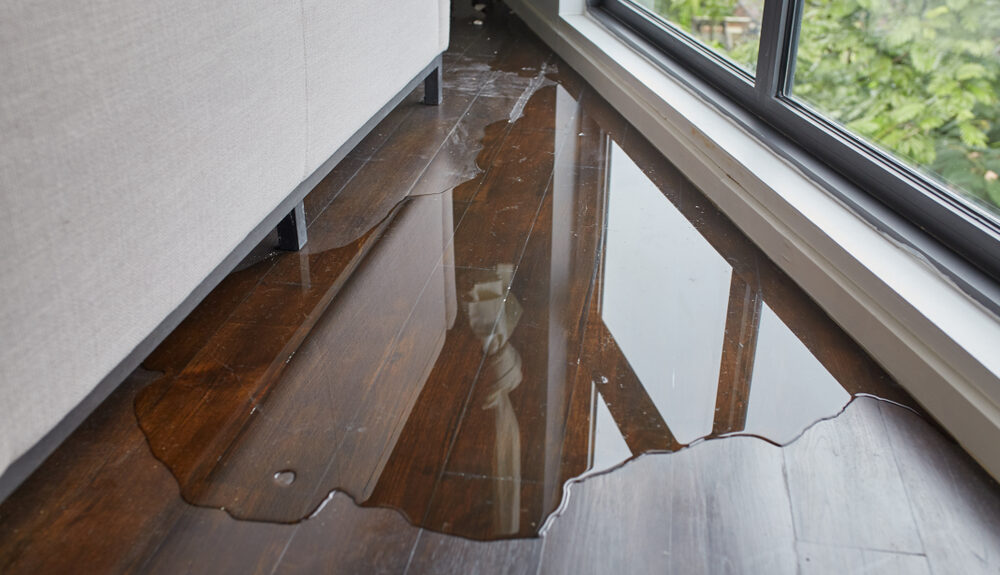 Navigating Water-Damaged Floors: DIY Tips & When To Call the Pros