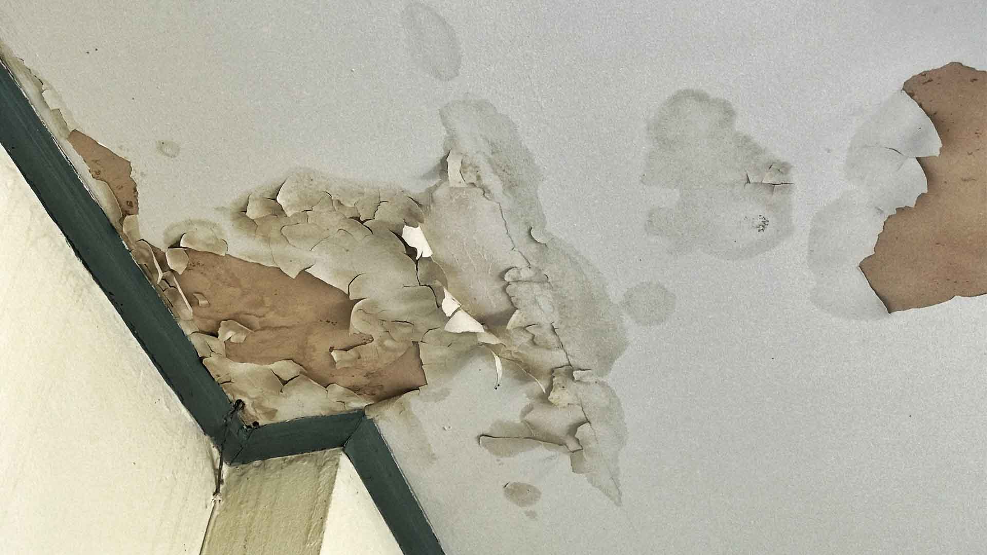 Old white slate ceiling peeling due to house damage from water leakage, humidity, and dirty mold.