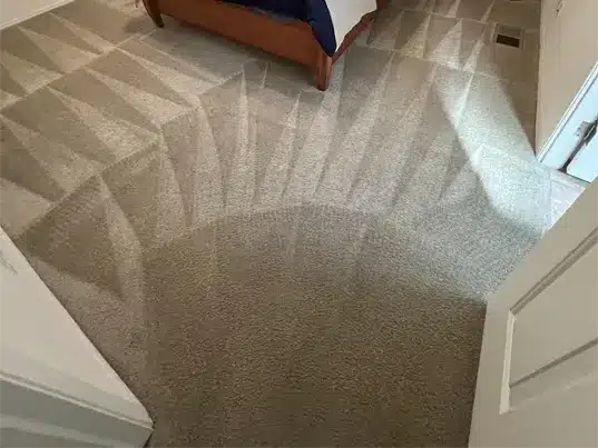 Carpet that has been fully cleaned.