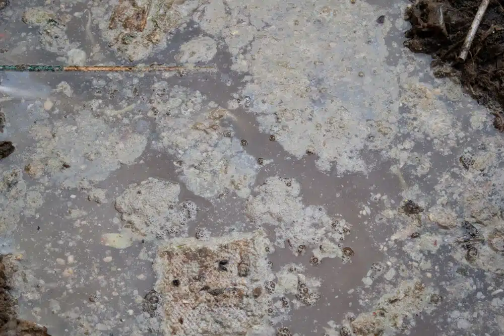 Close-up of rotten water.